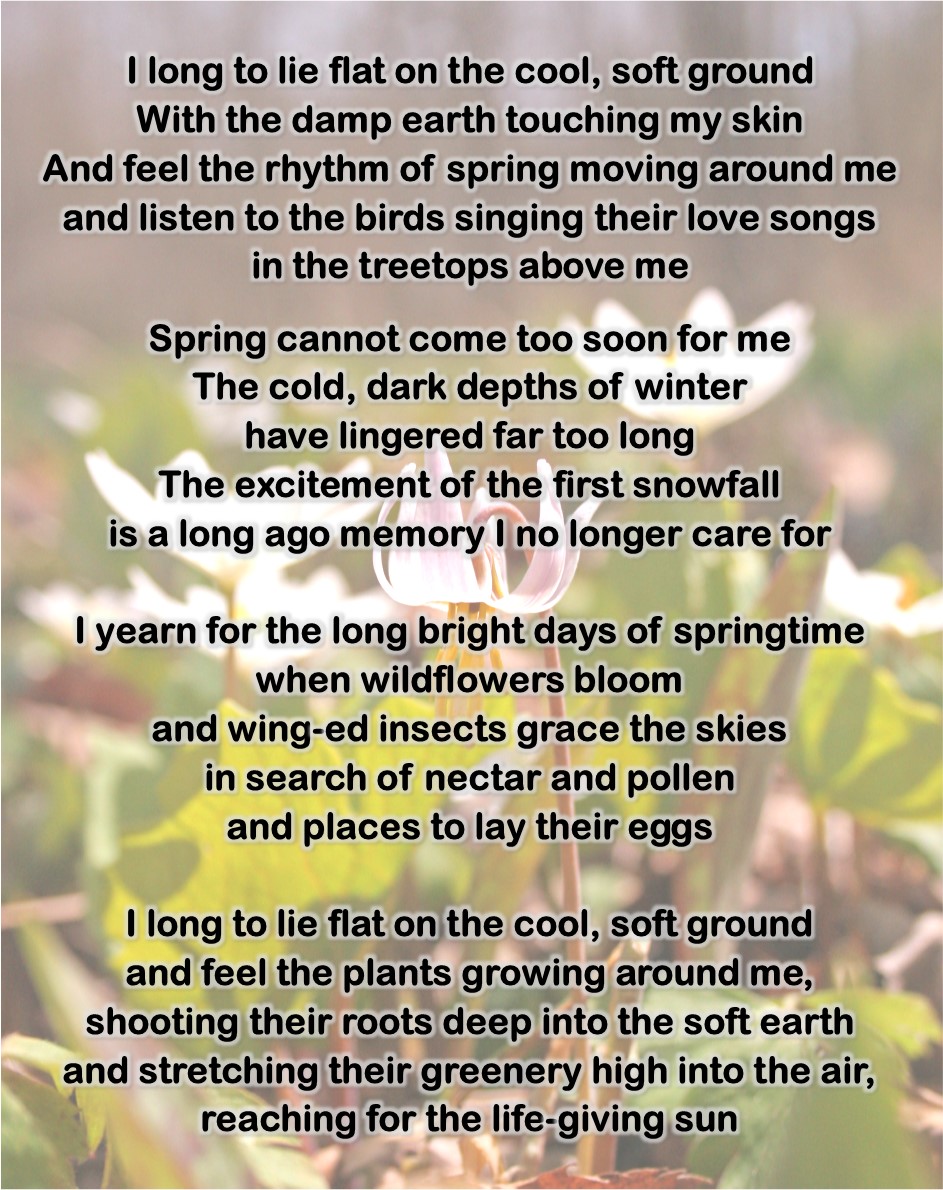 Longing for Spring